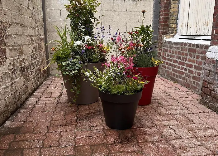 Riad Pause Et Vous à La